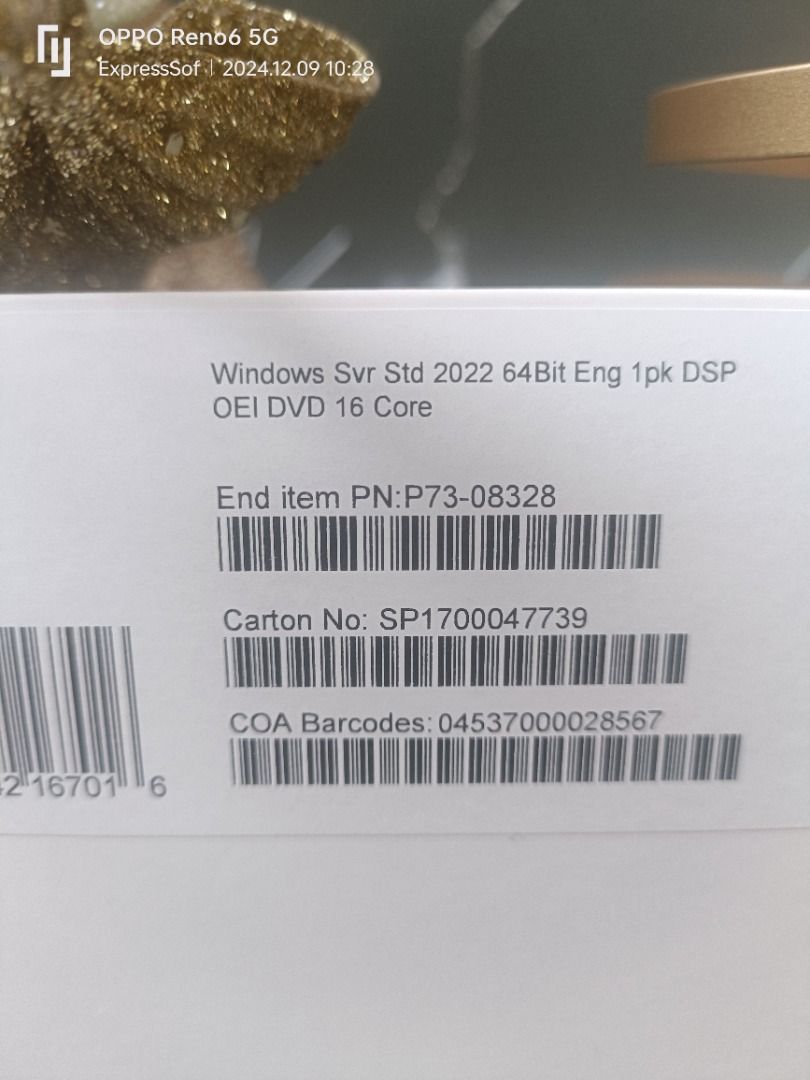 Windows Server Standard 2022 Edition 64 BIT Engl 1pk DSP OEI DVD 16 ...