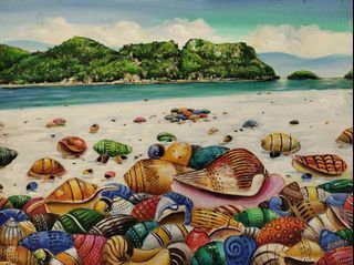 Coral Shells Stories - Joseph Clavita