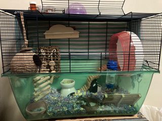 (Category: ) located in . Submitted by ochoiki (Listing ID 1283472703, Image 1). Description: .
