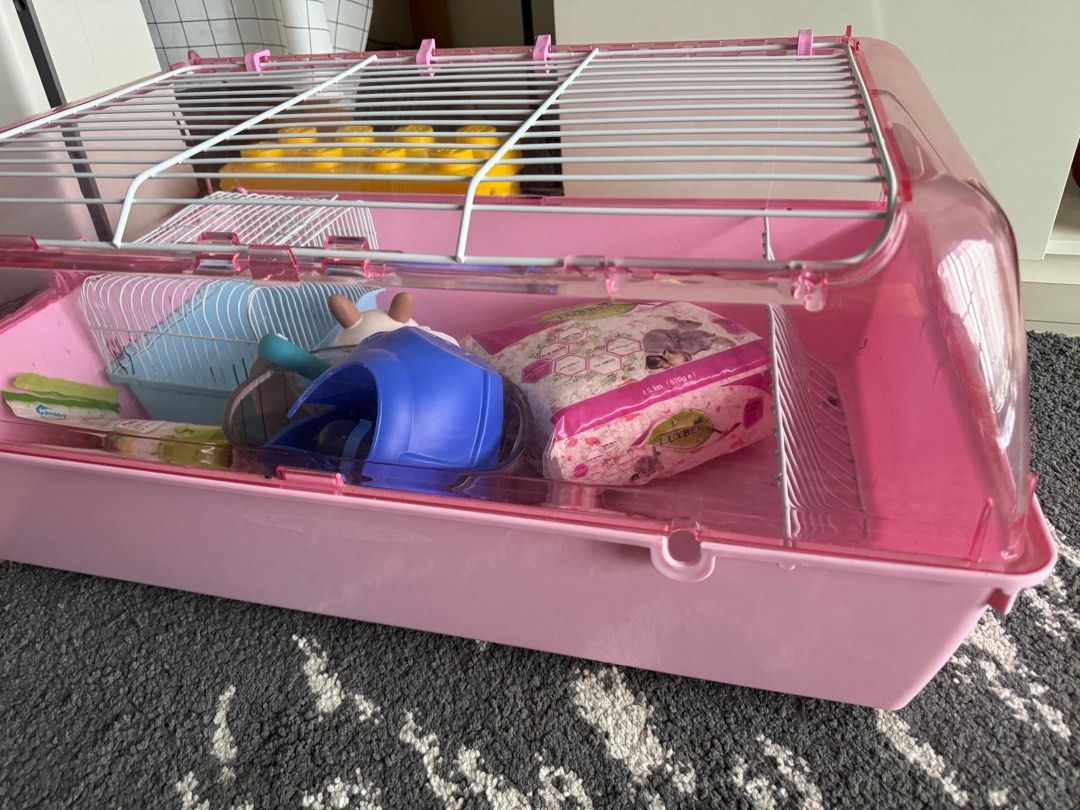 Hamster cage Pet Supplies Homes Other Pet Accessories on Carousell