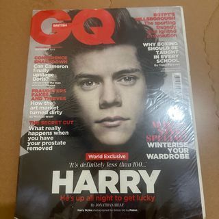 Harry Styles British GQ 2013 Magazine Solo Cover