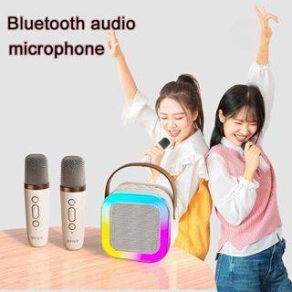 Mini speaker with 2 pcs mic