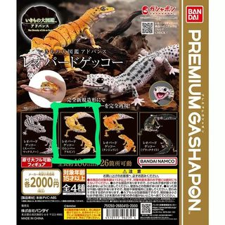 （分類：）位於 。 由 heyheykk 提交（商品編號 1283444253，圖片 1）。簡介： 。