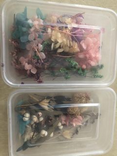 Preserved dried flower