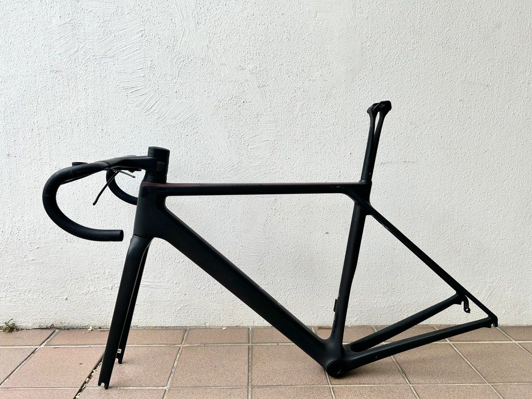 Canyon hotsell evo frameset