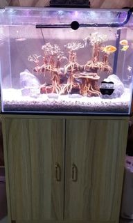 (Category: ) located in . Submitted by shamela (Listing ID 1285848086, Image 1). Description: .