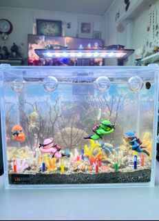 (Category: ) located in . Submitted by phuakarjoon (Listing ID 1285834471, Image 1). Description: .