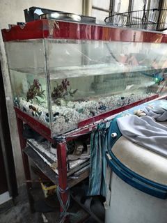 Aquarium with stand (26×26×122) approx 68 Gallon