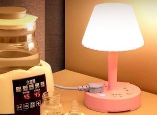 Table lamp with socket
