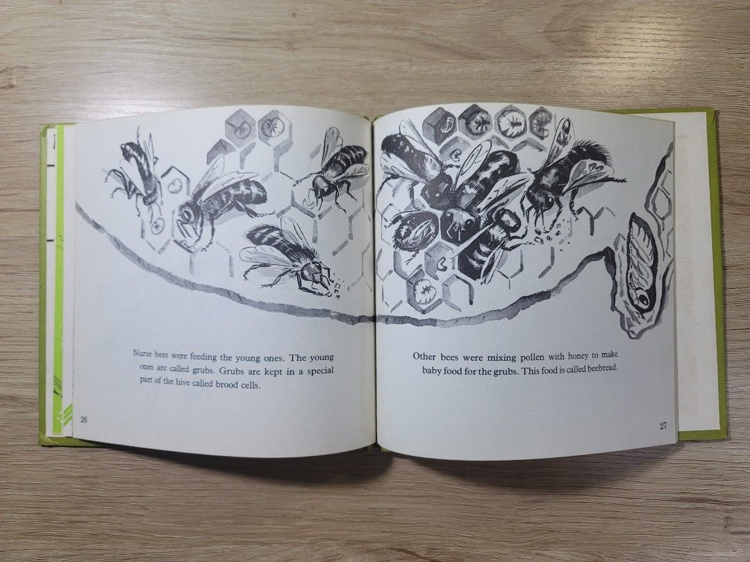Watch Honeybees With Me (Category: Storybooks) located in Makati City. Submitted by babybookph (Listing ID 1286176500, Image 3). Description: Hard Bound *Vintage.