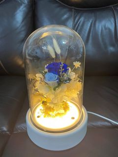 （分類：）位於 。 由 hyolam 提交（商品編號 1286290782，圖片 1）。簡介： 。