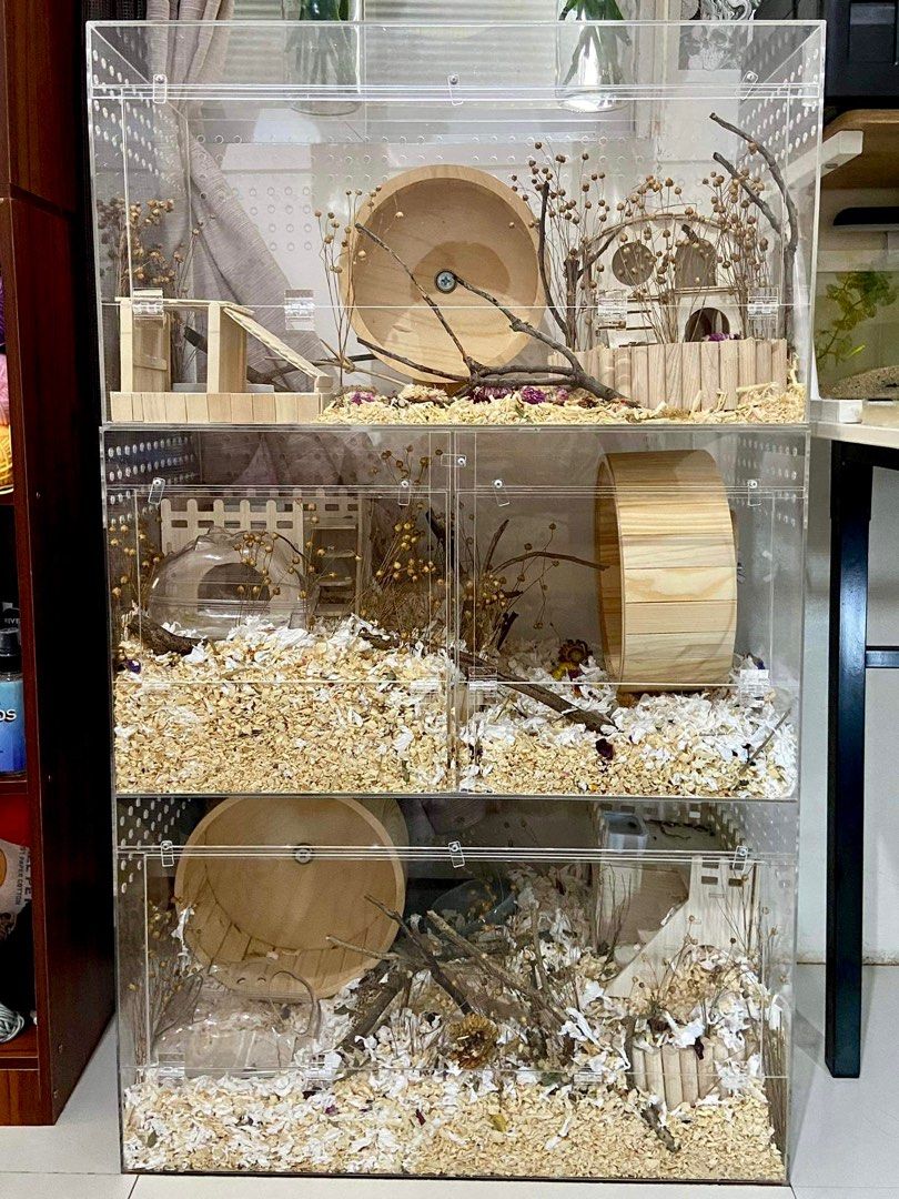 Acrylic Enclosure Acrylic Cage For Reptile Exotics Enclosure For ...