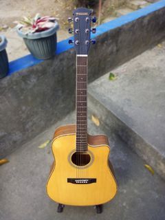 Fernando acoustic guitar