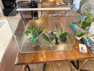(Category: ) located in . Submitted by dvply (Listing ID 1286192778, Image 1). Description: .