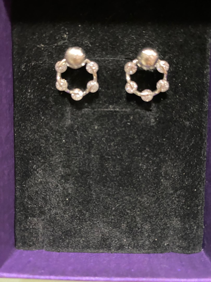 Gibeon Meteorite S925 Earrings