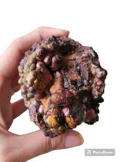 (Category: ) located in . Submitted by rarealways (Listing ID 1286186078, Image 1). Description: .