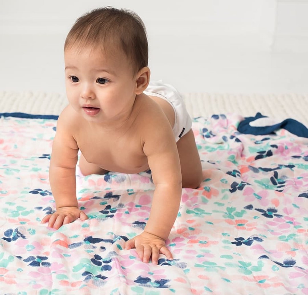 Aden and anais silky soft outlet blanket
