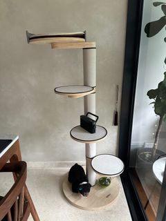 (Category: ) located in . Submitted by room1978 (Listing ID 1286443243, Image 1). Description: .