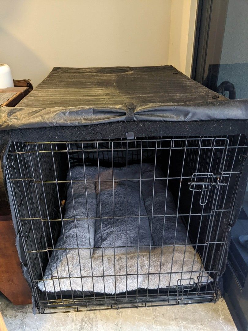 Dogit sales soft crate