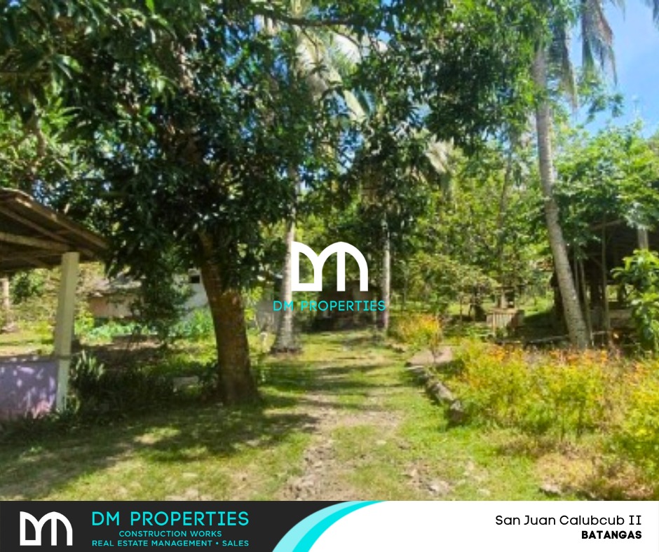 For Sale Agricultural Lot at San Juan Calubcub II, Batangas, Property