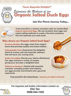High Quality Organic Salted Duck  Eggs