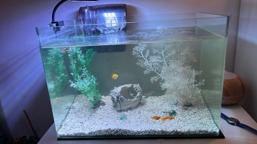 Large fish tank with all accessories, Furniture & Home Living, Home Decor,  Vases & Decorative Bowls on Carousell