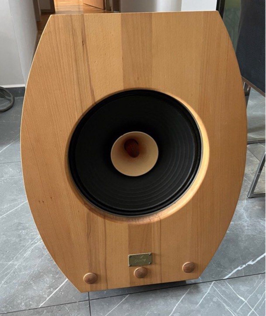 Lii Song F15 Open Baffle Speaker, Audio, Soundbars, Speakers