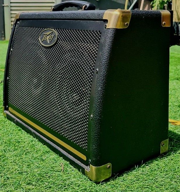 Peavey e208 acoustic amp outlet