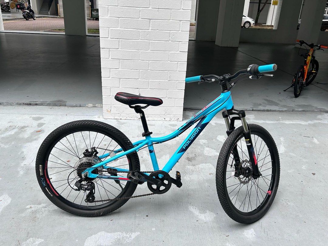 Polygon Relic 24 kids junior mountain bike Sports Equipment