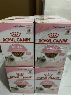 Royal Canin Wet Cat Food for Kitten