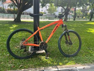 100 affordable