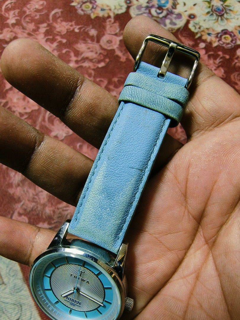 Triwa niben cheap watch