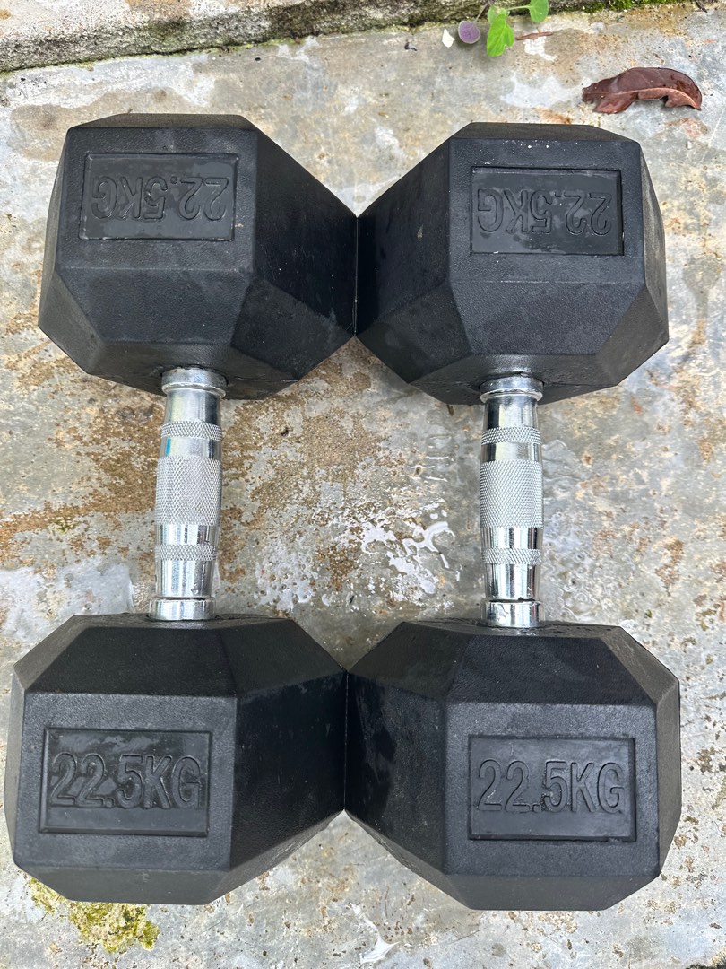 Dumbbell 22.5 kg rogue store