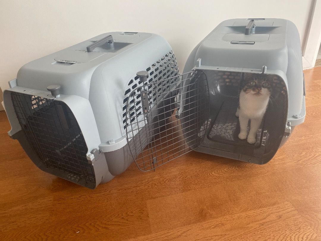 Pet voyageur 400 cheap dog crate