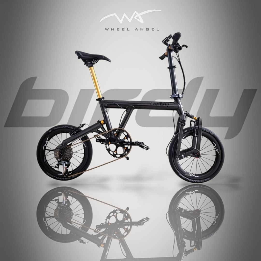 Birdy Carbon Wheelset (Custom Birdy disc / rim brake wheels), Sports ...