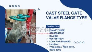 Cast steel gate valve flange type