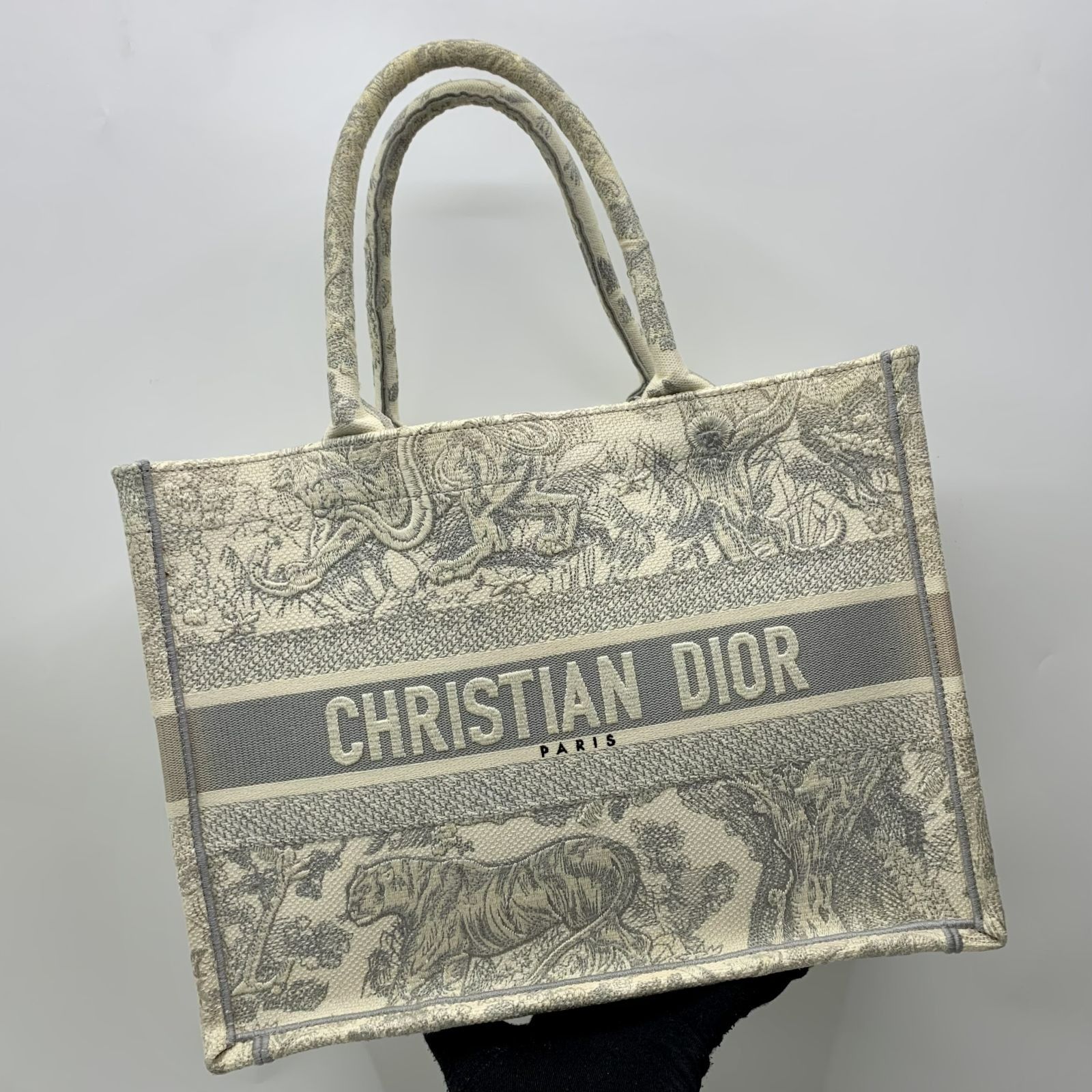 Christian dior tote new arrivals canvas