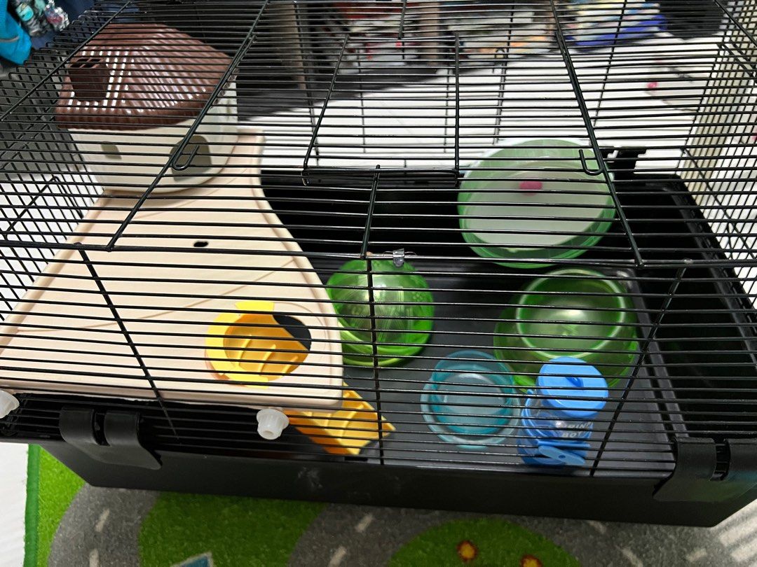 Used Hamster Accessories Near Location