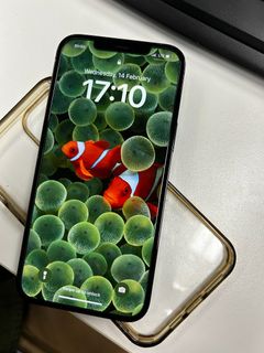 （分類：）位於 。 由 gonpriba 提交（商品編號 1286716983，圖片 1）。簡介： 。