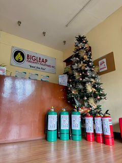 Manufacturer of Bigleap Fire Extinguisher Dry Chemical and Clean Agent