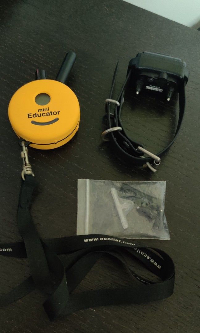 Mini Educator E Collar ET 300TS Pet Supplies Homes Other Pet