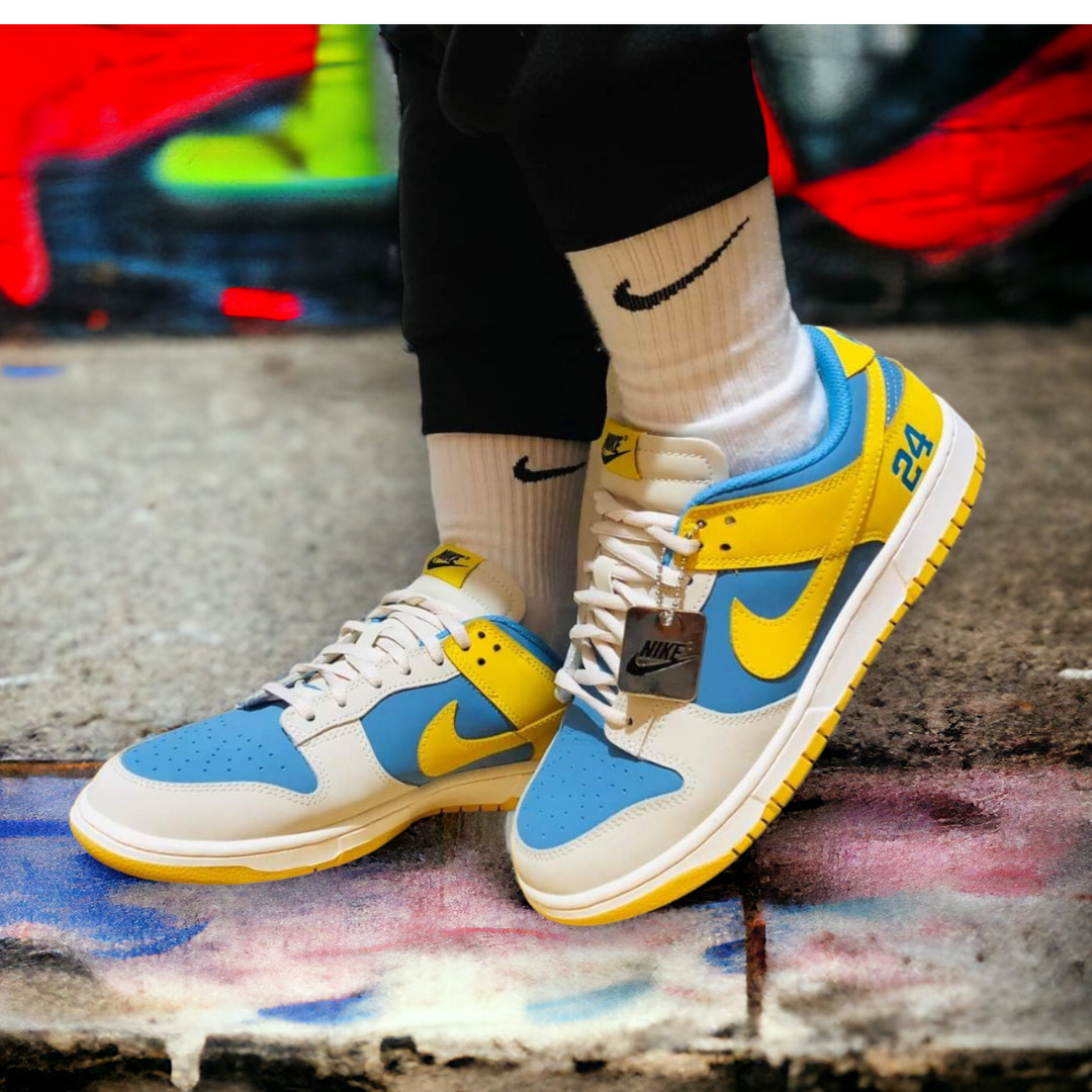 Nike sb sock shoe hot sale