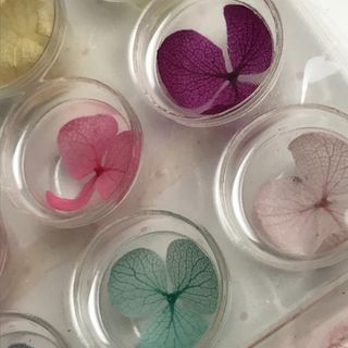 IMPORTED REAL FLOWERS Dried Dry Rainbow Blooms Nail Art Decorations for UV Gel Acrylic Tips