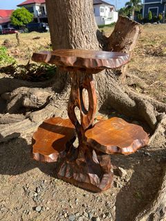 rustic tree display stand