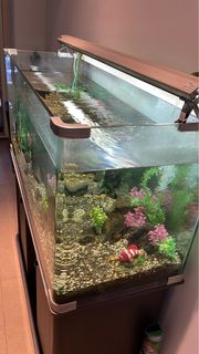 (Category: ) located in . Submitted by ym2338 (Listing ID 1287055880, Image 1). Description: .