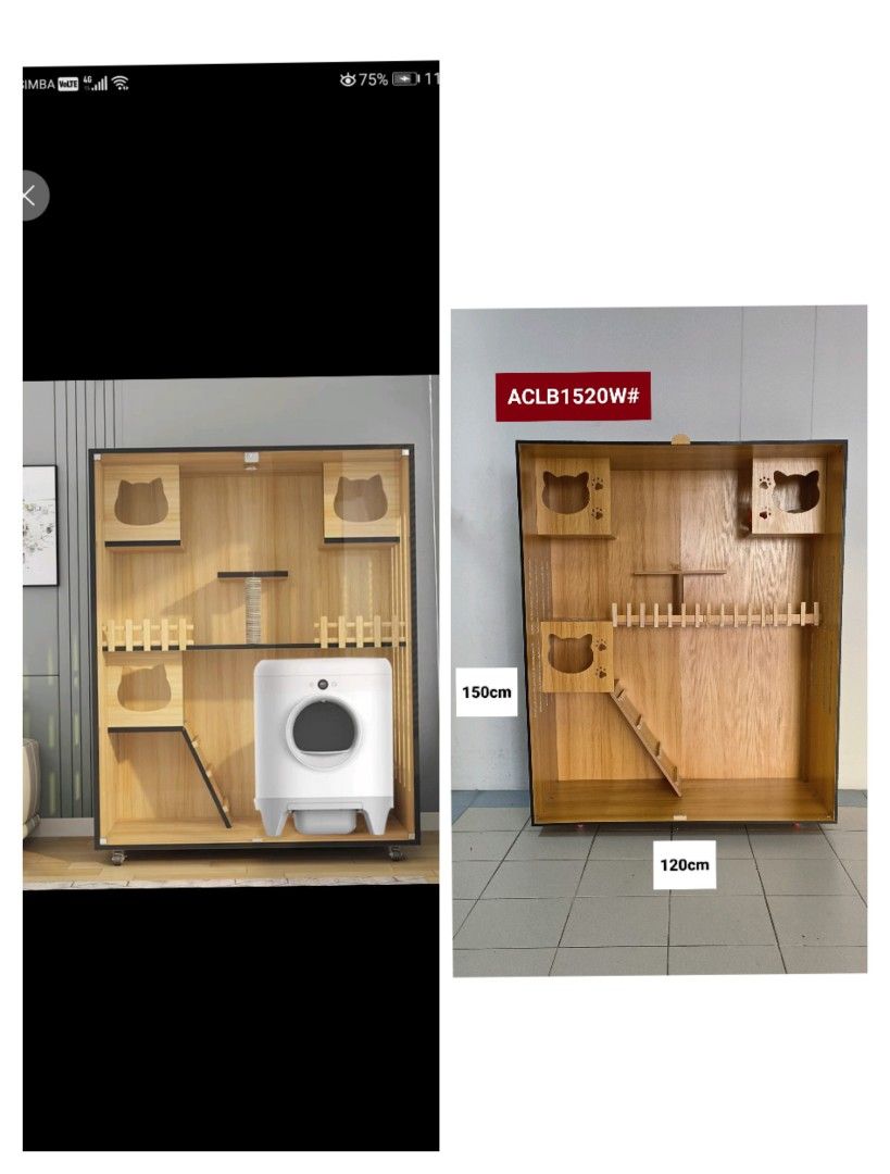 Cathouse season 1 outlet online free
