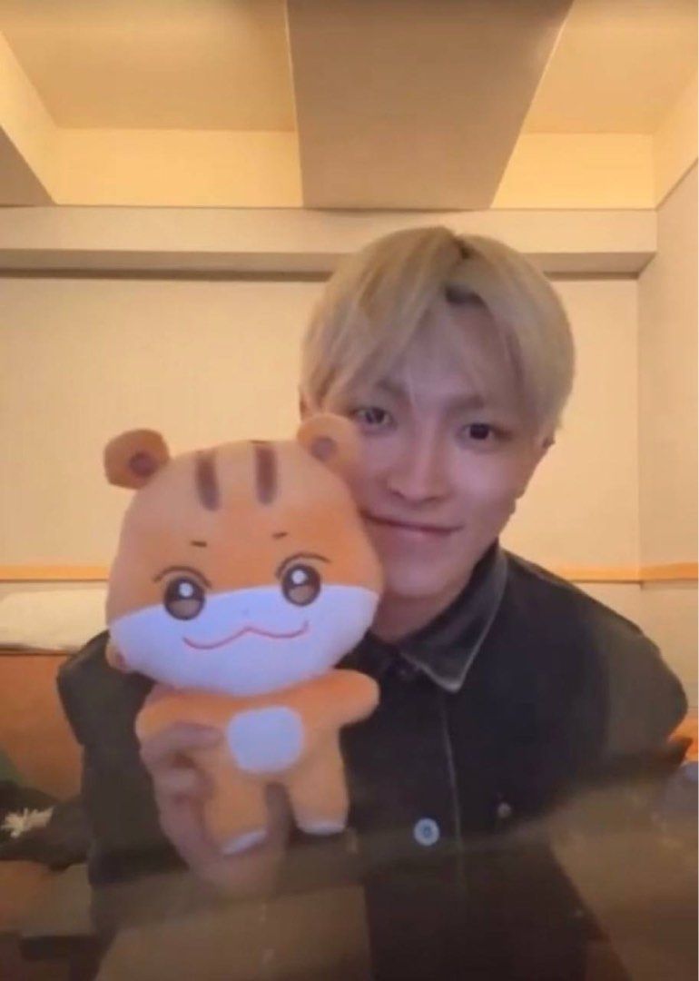 Ateez Hongjoong Aniteez Plush, Hobbies & Toys, Memorabilia
