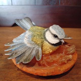 (Category: ) located in . Submitted by tenpei (Listing ID 1286978937, Image 1). Description: .