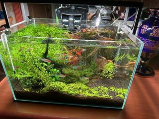 (Category: ) located in . Submitted by galaxy8888 (Listing ID 1287013627, Image 1). Description: .