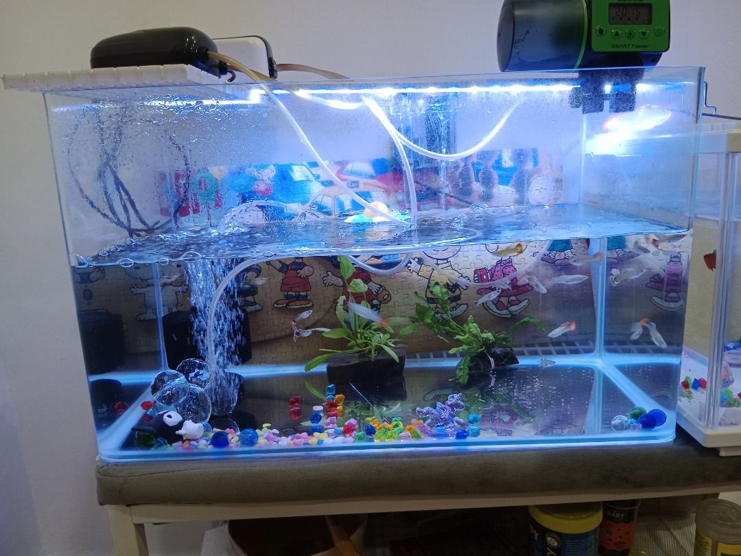 Fish or Tortoise or hamster Glass Tank L50 x W26 x H30cm Pet